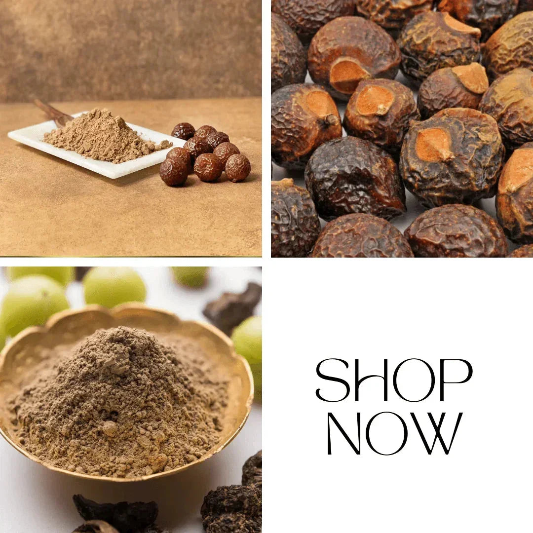 Reetha Hair Pack Powder – Natural Cleanser, Hair Strengthening & Shine, 100g - Shipcart Ecommerce Official