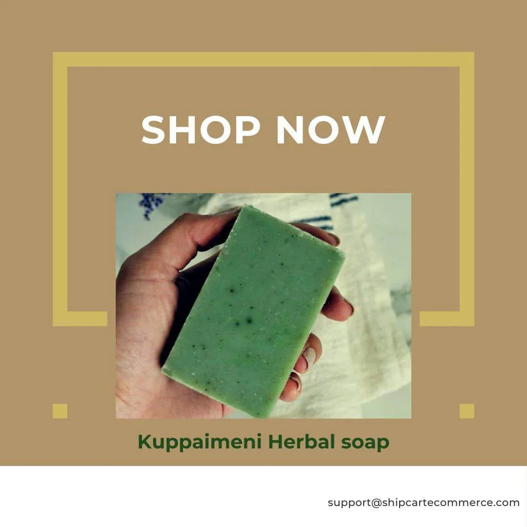 Kuppaimeni Glycerine Soap – Herbal Skin Clarity & Detox – Pack of 3, 375g (125g each) - Shipcart Ecommerce Official