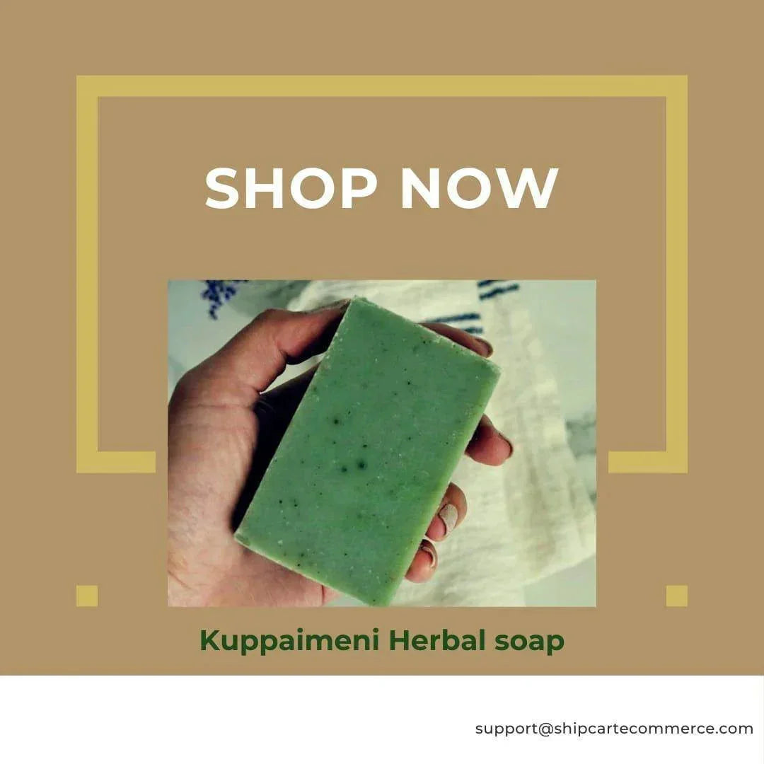 Kuppaimeni Glycerine Soap – Herbal Skin Clarity & Detox – Pack of 3, 375g (125g each) - Shipcart Ecommerce Official