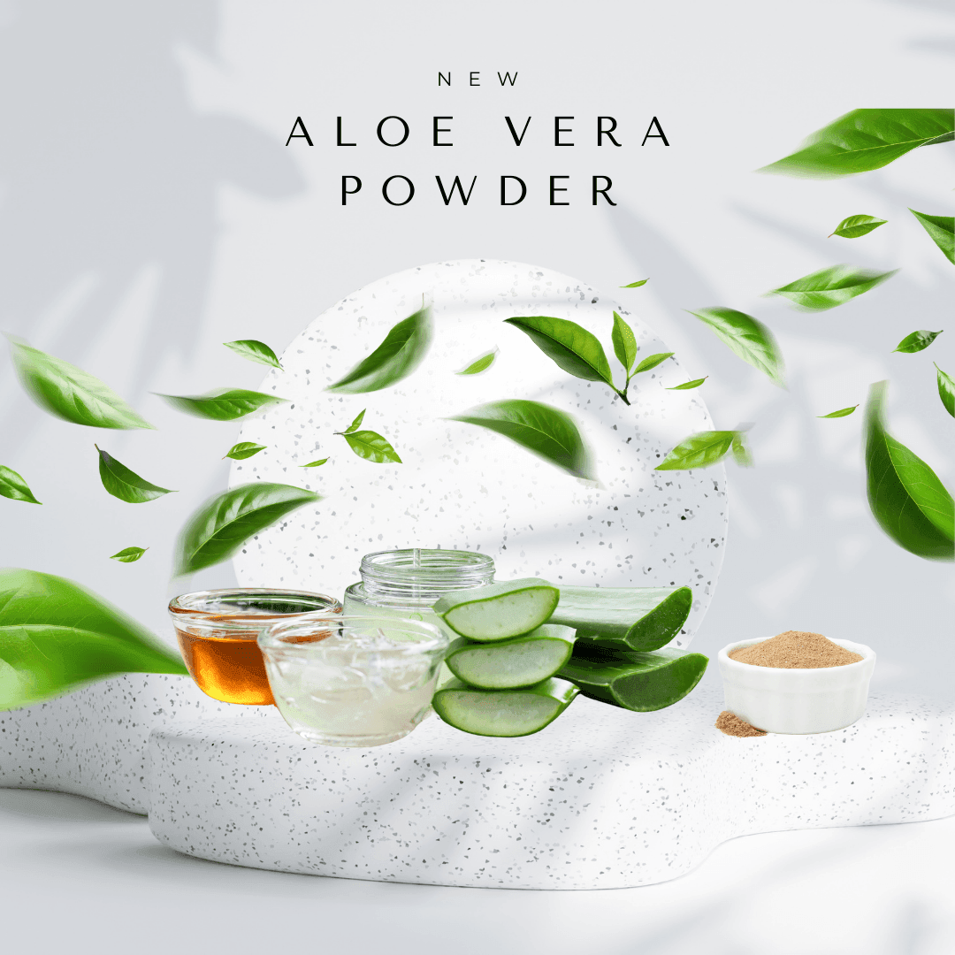 Aloe Vera Hair Pack Powder – Nourishment, Hydration & Scalp Care, 100g - Shipcart Ecommerce Official