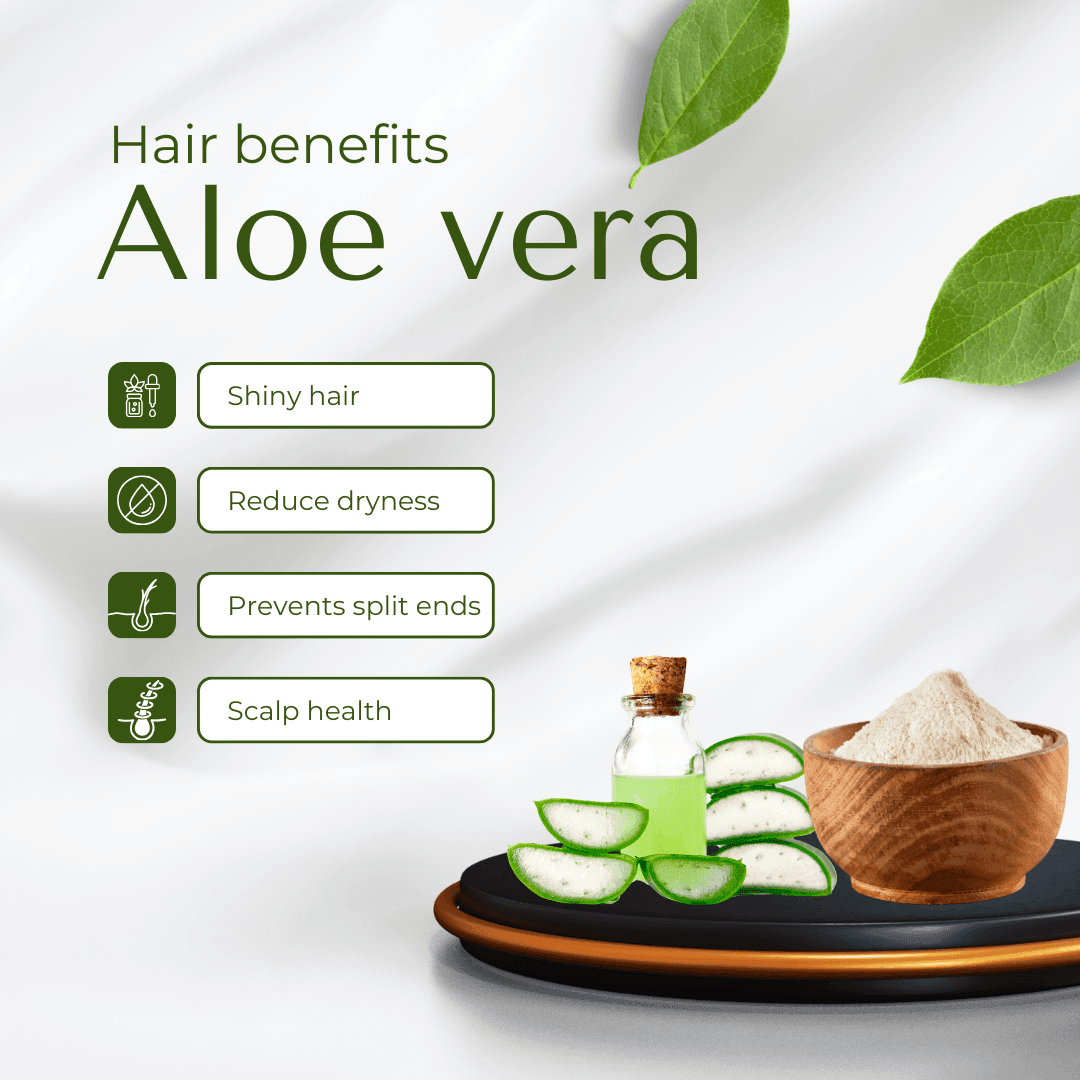 Aloe Vera Hair Pack Powder – Nourishment, Hydration & Scalp Care, 100g - Shipcart Ecommerce Official