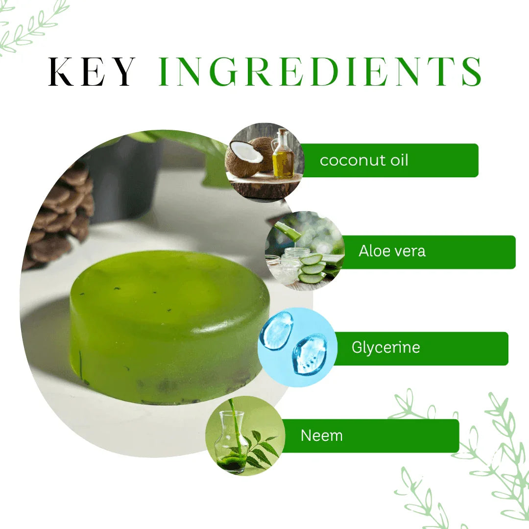 Aloe Vera Glycerine Soap – Hydrating & Skin-Soothing Care – Pack of 3, 375g (125g each) - Shipcart Ecommerce Official
