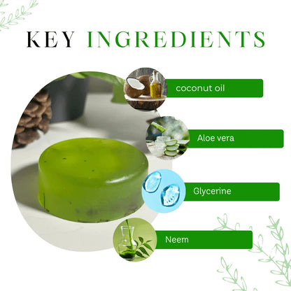 Aloe Vera Glycerine Soap – Hydrating & Skin-Soothing Care – Pack of 3, 375g (125g each) - Shipcart Ecommerce Official