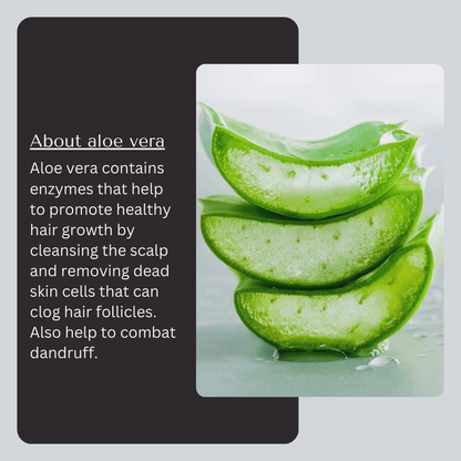 Aloe Vera Hair Pack Powder – Nourishment, Hydration & Scalp Care, 100g - Shipcart Ecommerce Official