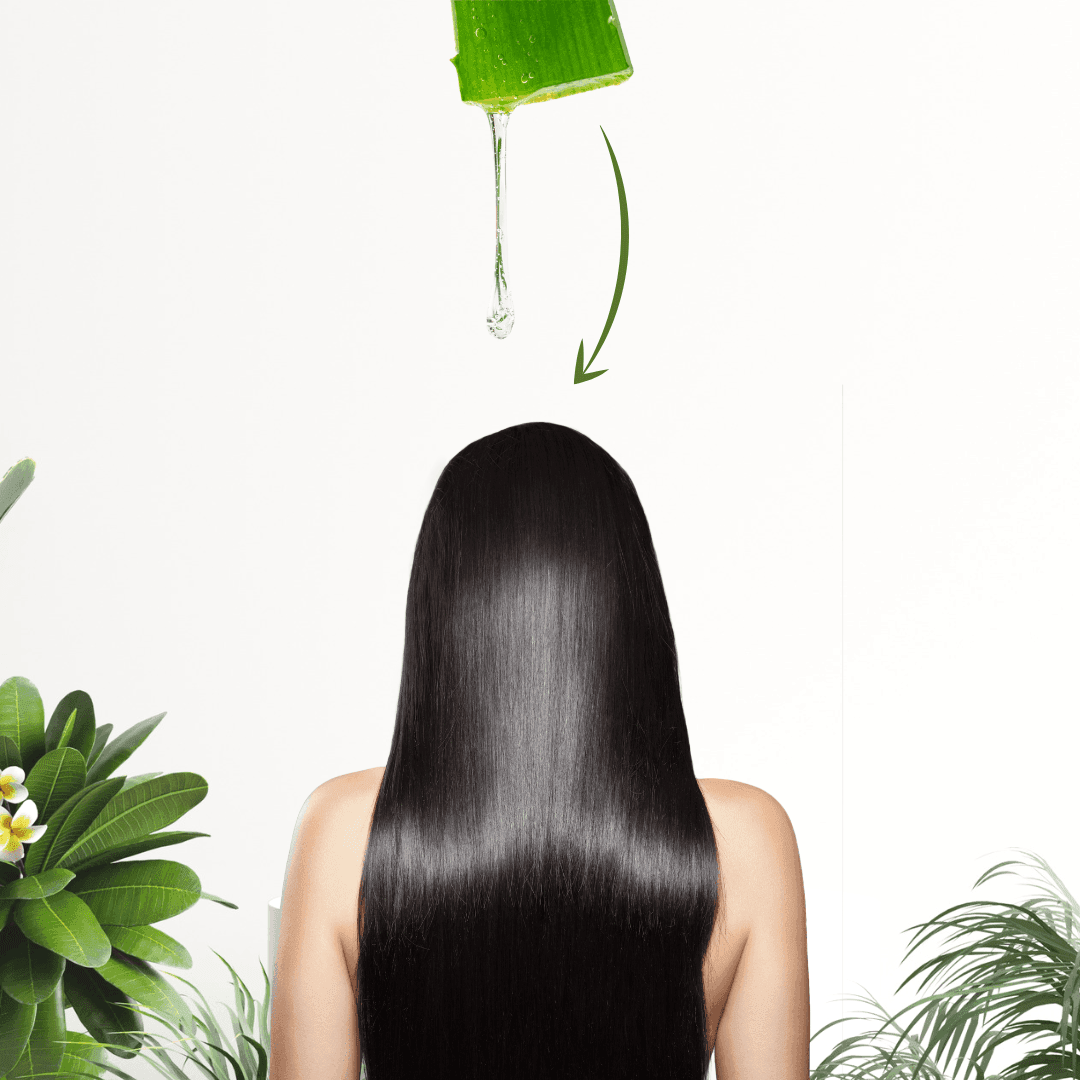 Aloe Vera Hair Pack Powder – Nourishment, Hydration & Scalp Care, 100g - Shipcart Ecommerce Official