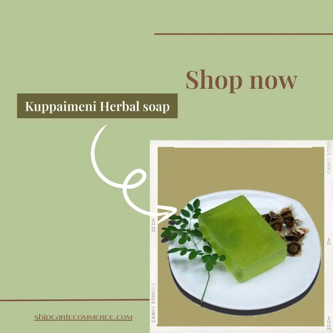 Kuppaimeni Glycerine Soap – Herbal Skin Clarity & Detox – Pack of 3, 375g (125g each) - Shipcart Ecommerce Official
