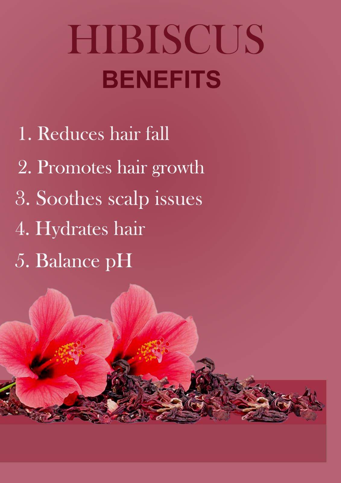 Hibiscus Hair Pack Powder – Natural Shine, Strength & Scalp Care, 100g - Shipcart Ecommerce Official