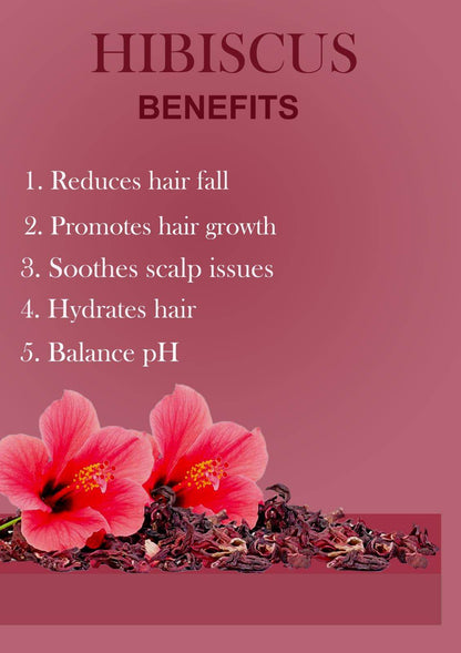 Hibiscus Hair Pack Powder – Natural Shine, Strength & Scalp Care, 100g - Shipcart Ecommerce Official