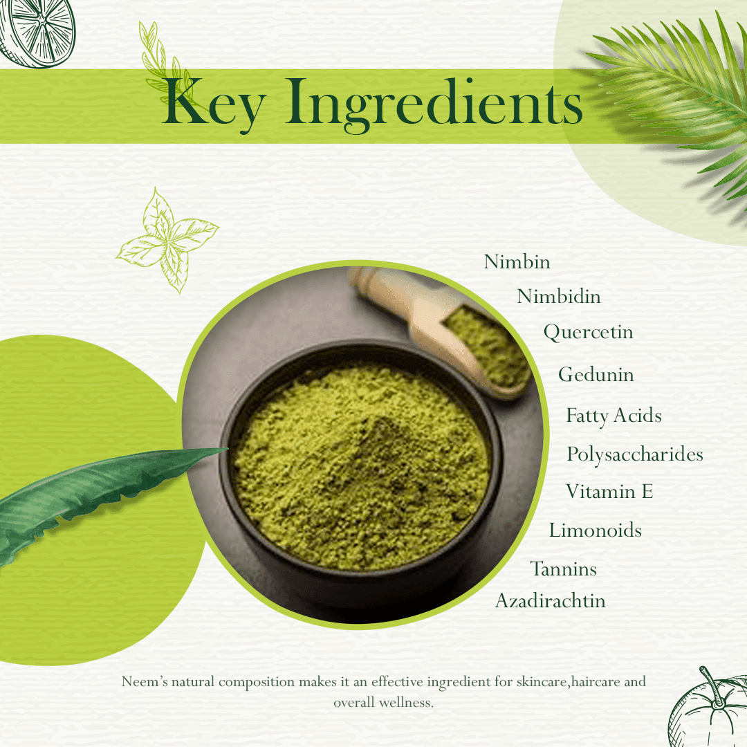 Neem Hair Pack Powder – Scalp Care, Dandruff Control & Hair Strength, 100g - Shipcart Ecommerce Official