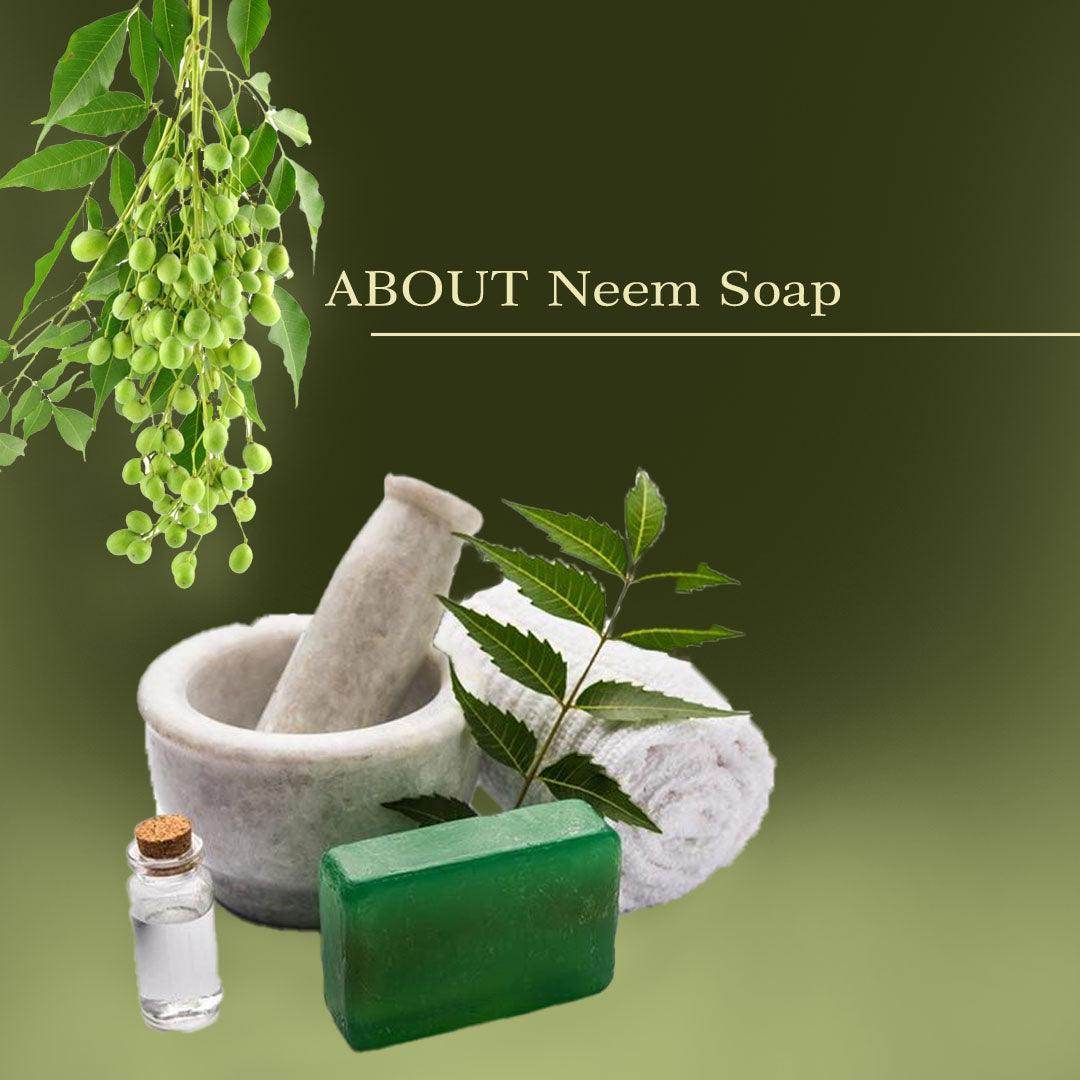 Neem Soap – Anti-Aging, Skin Protection & Natural Moisturizer, 125 g - Shipcart Ecommerce Official