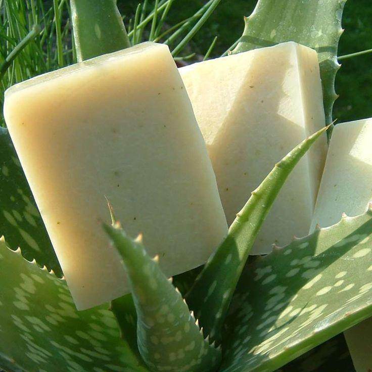 Organic Special Aloe Vera Soap – Hydration, Brightening & Skin Soothing, 125g - Shipcart Ecommerce Official