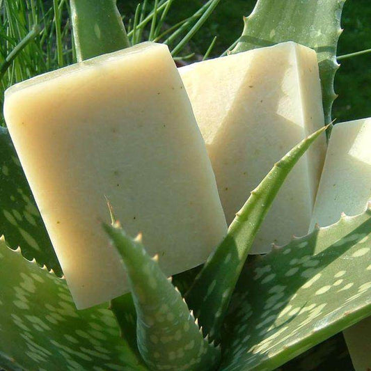 Organic Special Aloe Vera Soap – Hydration, Brightening & Skin Soothing, 125g - Shipcart Ecommerce Official